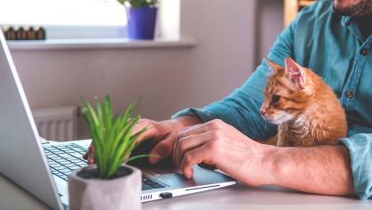 cat with man at laptop