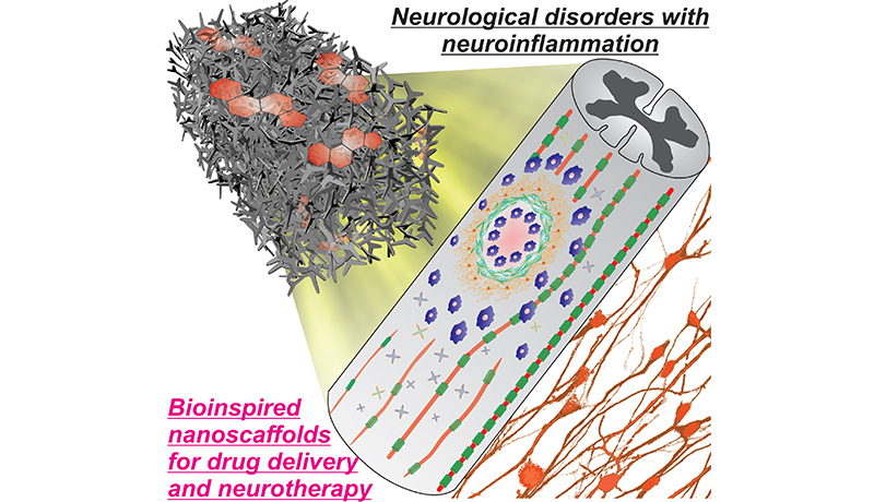 New Smart Drug Delivery System May Help Treatment for Neurological ...