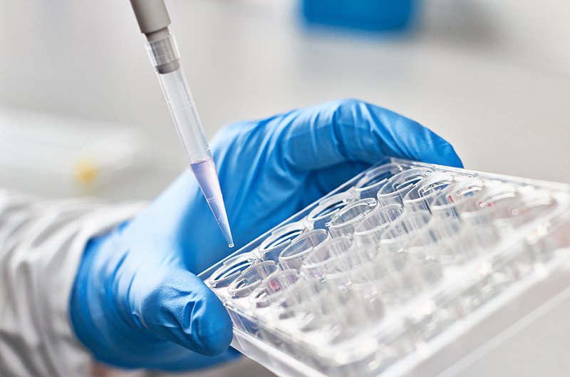 Rutgers Develops Rapid Test to Detect New Emerging Coronavirus Variants - Vimarsana News