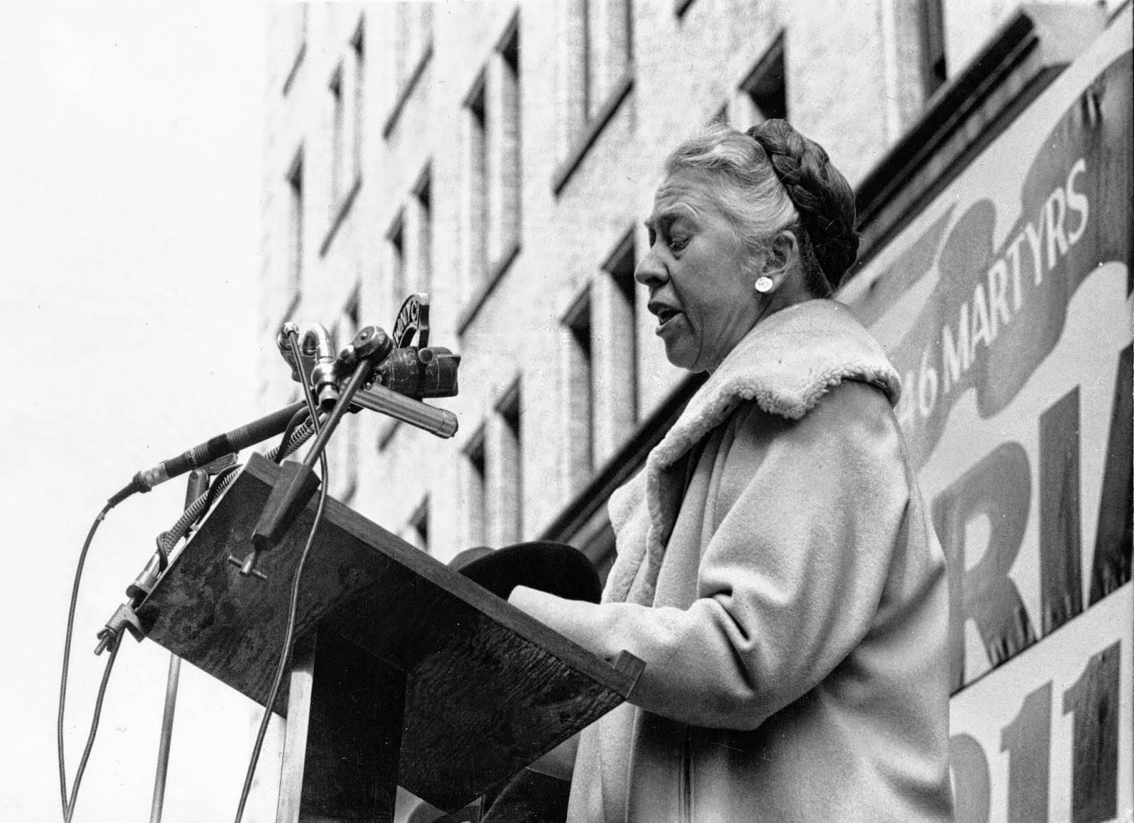Labor Historian's Upcoming Book Highlights Lesser-Known Feminist Figures - Vimarsana News