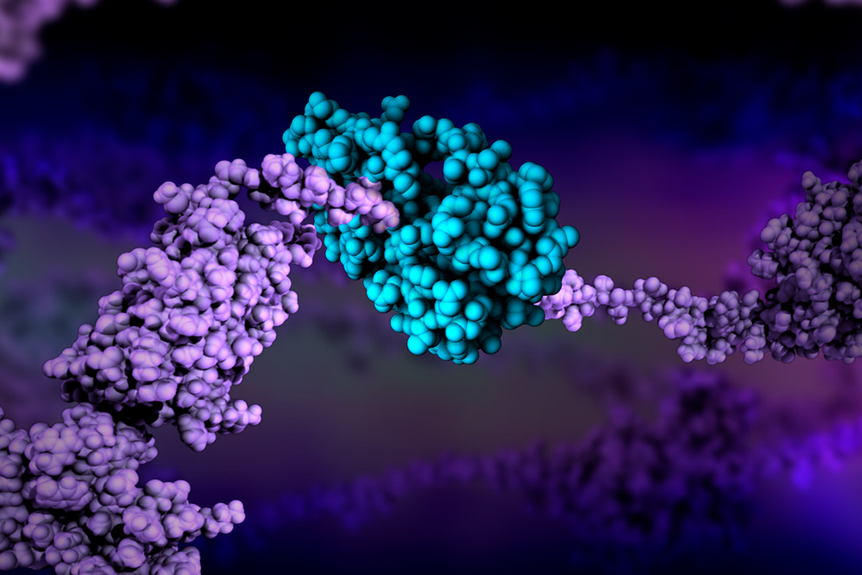 Protein Data Bank Marks 50 Years Helping to Unlock Mysteries of Human ...
