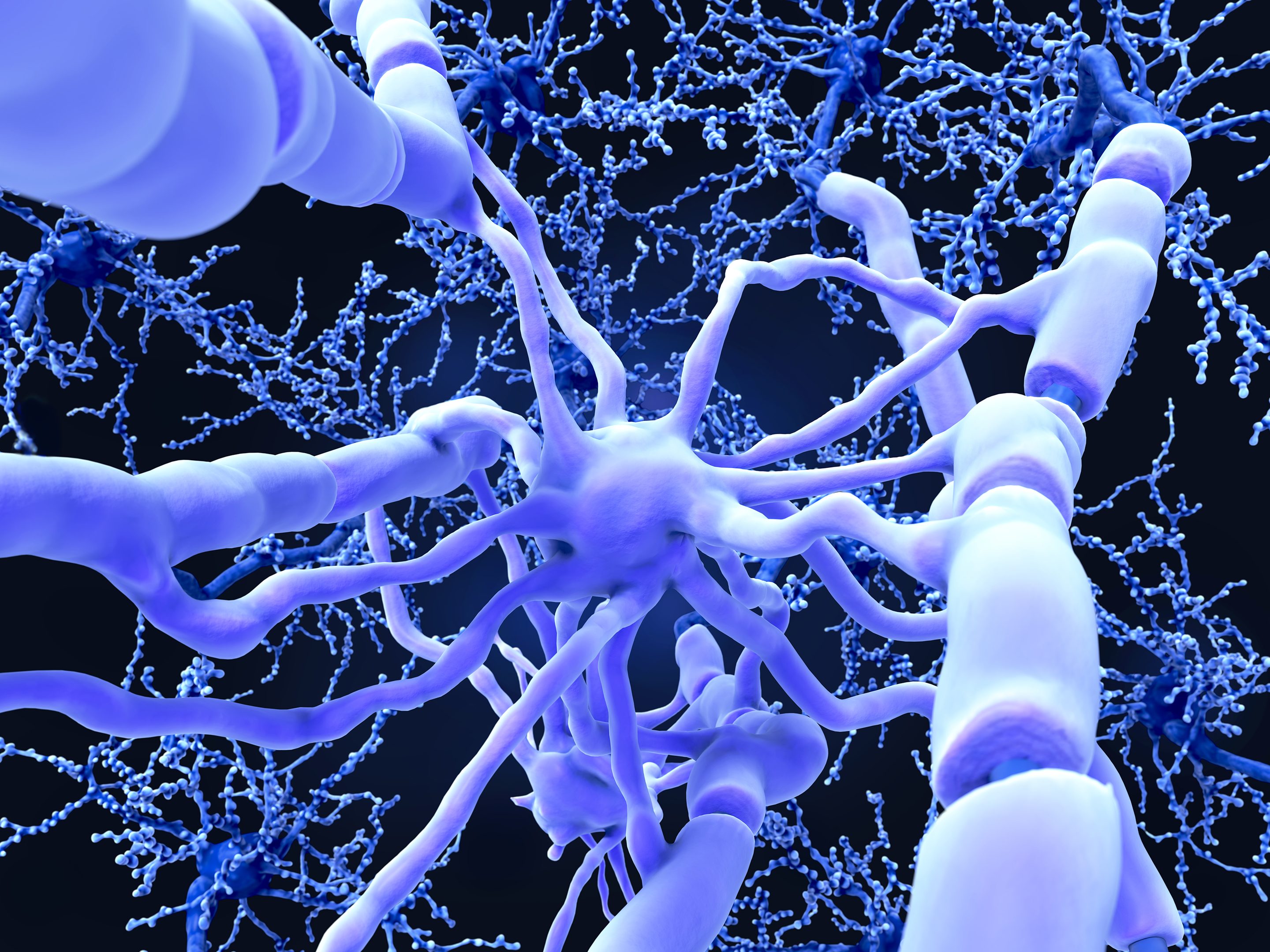 Brain Cell Insight Could Lead to New Treatments for Neurological-Based ...