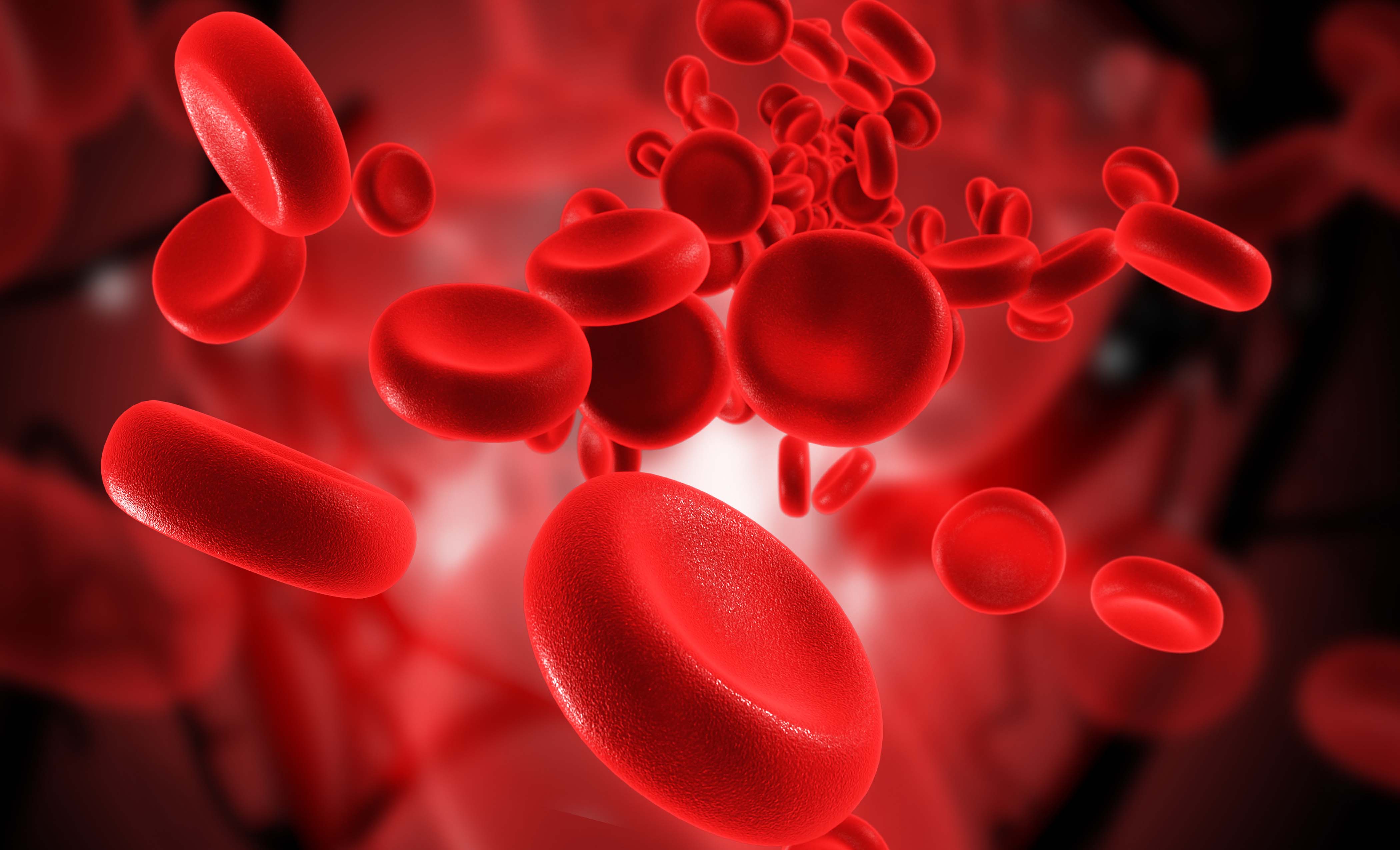Study Finds Transfusing More Blood Reduces Risk of Death at Six Months in Heart-Attack Patients with Anemia