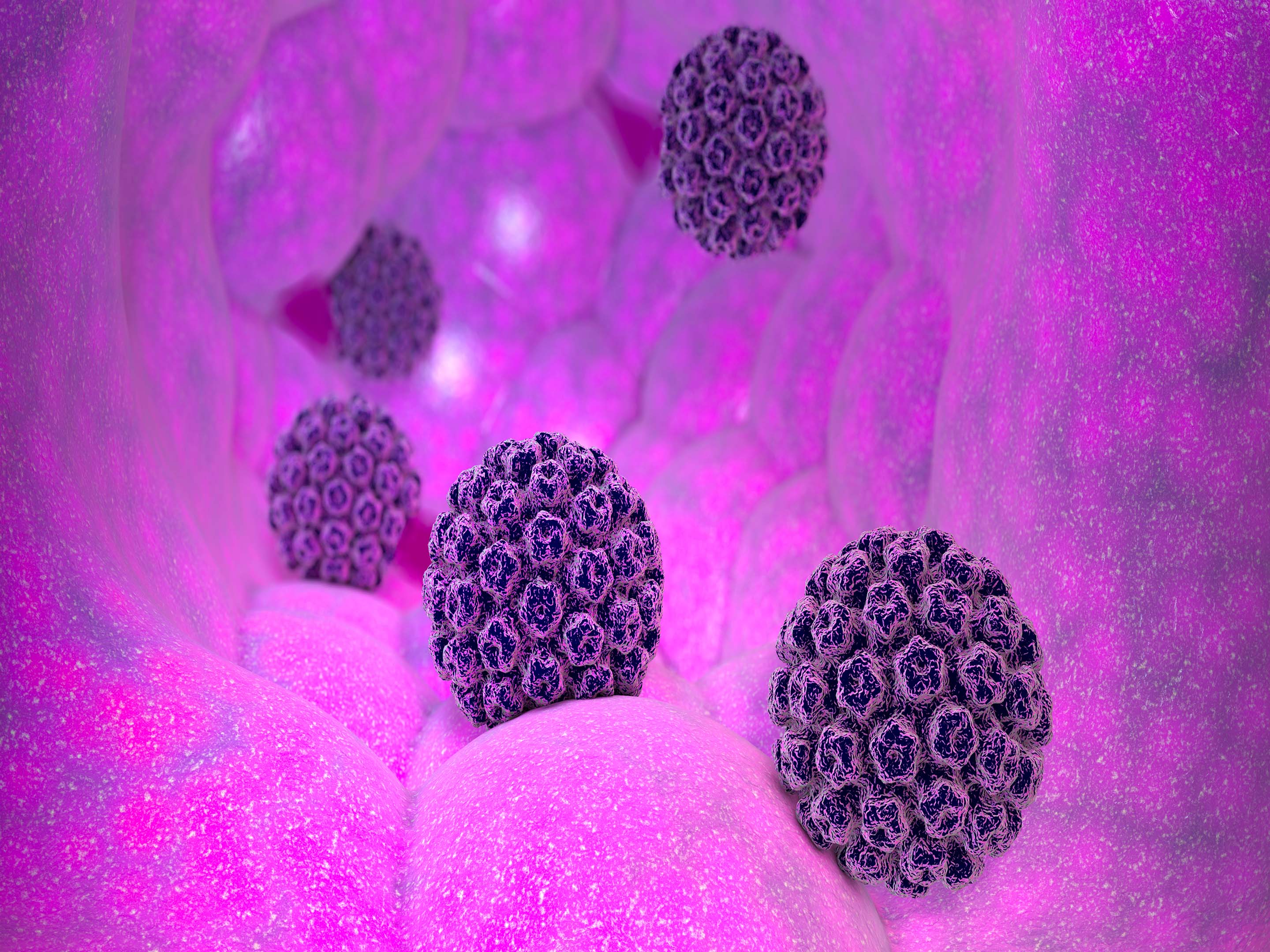 Hpv