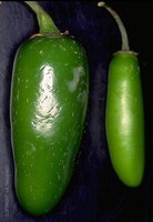 Peppers