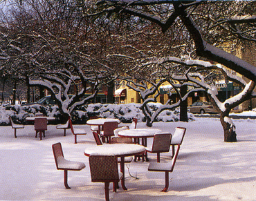 Winter scene at Rutgers-Newark