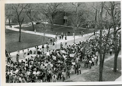 crowd