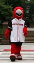 Scarlet Raptor