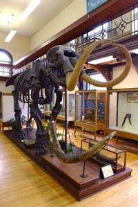 Geology Museum