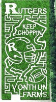 Corn Maze