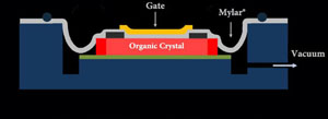 OFET cross-section