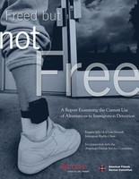 Freed but not Free Report