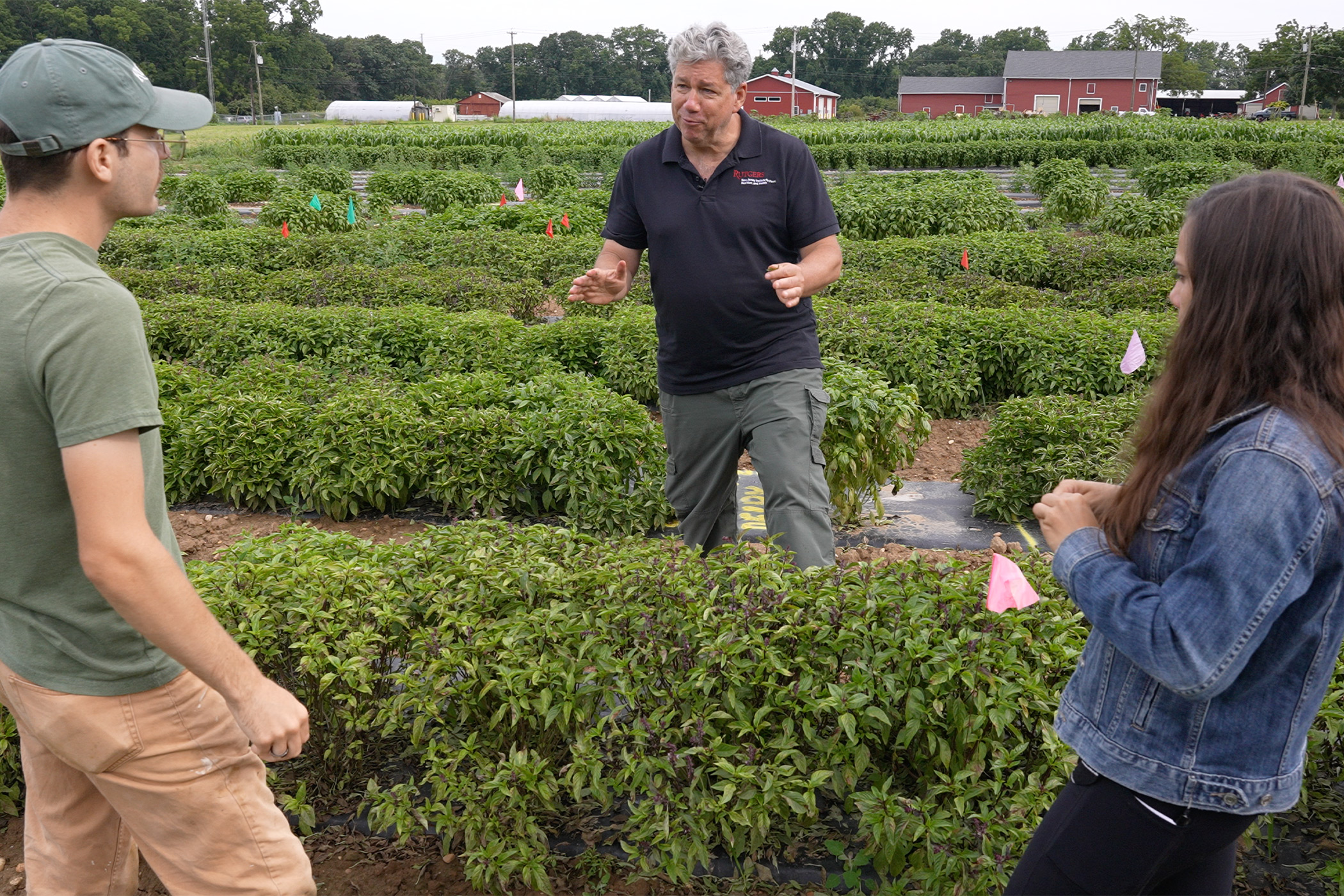 James Simon, Who Helped Save the World’s Basil, Receives Highest Honor for His Work
