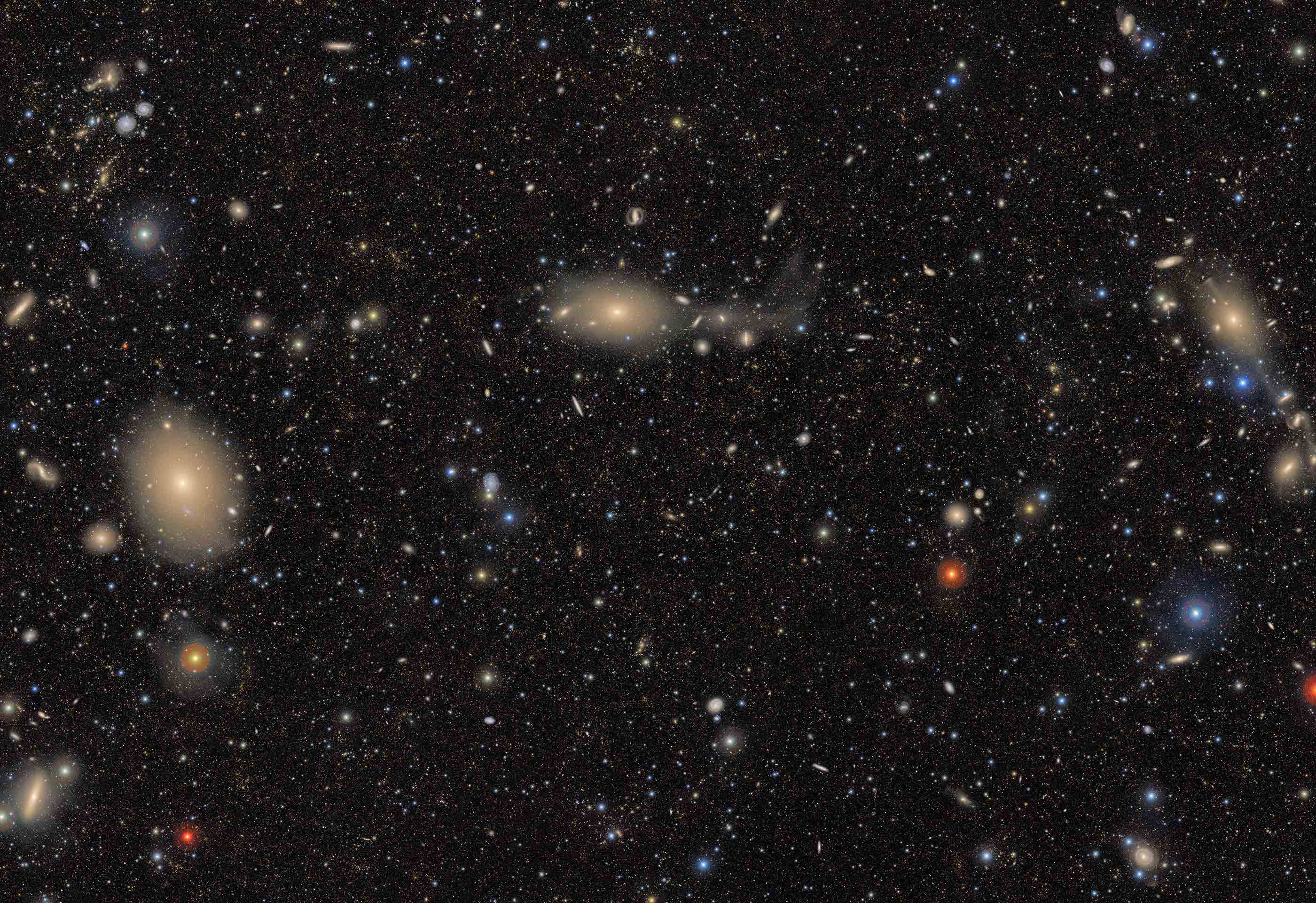 A Telescope Collaboration Between Astrophysicists Offers an Unprecedented Opportunity for Discovery
