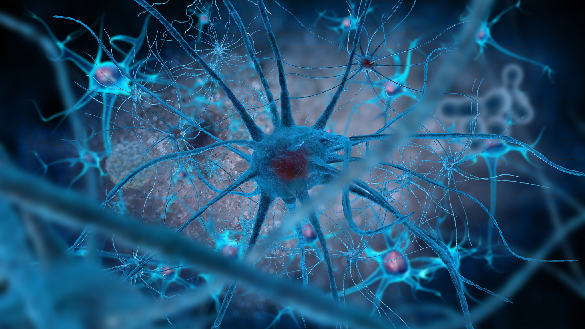 Key Protein Identified for Brain Stem Cell Longevity