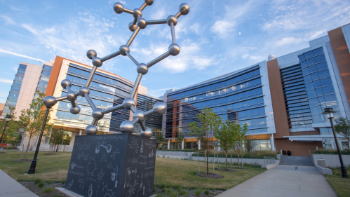 'The PhD Molecule" sculpture of a caffeine molecule by artist Larry Kirkland outside the Chemistry and Chemical Biology building 