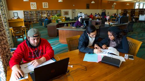 Students studying at the library