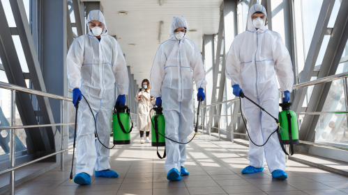 Pandemic