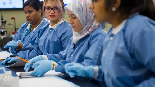 Rutgers School of Public Health students work together.
