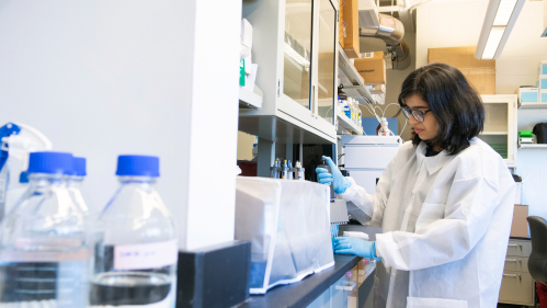 Graduate student Kiran Deshpande (Pharm' 22) works in the Ernest Mario School of Pharmacy Kagan Lab