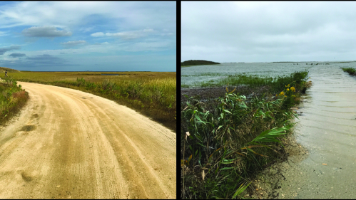 Sea-level rise leads to increased flooding at the Edwin B. Forsythe National Wildlife Refuge. These photos show approximately the same in October (left) and September 2016. The hill in the upper left corner is the same