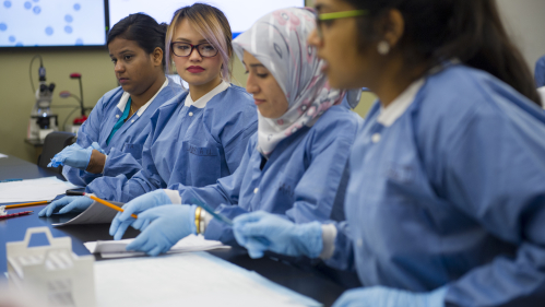 women working in a lab