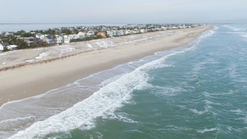 New sharks could be visiting the Jersey Shore thanks to climate change - nj .com