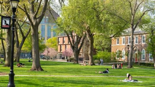 Students study outside on Voorhees Mall