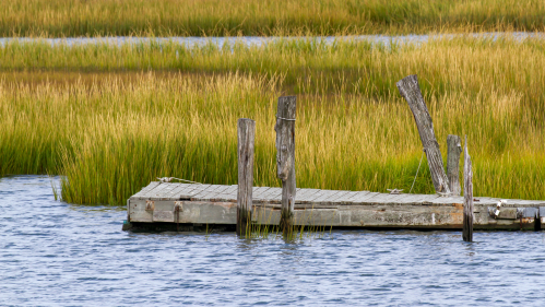 Marshland in the Delaware Bay, coastal New Jersey