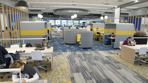Digital Learning Commons wide view