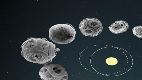 Emergence of new species of the coccolithophere (calcite producing marine algae), paced by approximately 400,000 year variations in the shape of Earth’s revolutions around the sun (eccentricity shown in inset) has been documented by the changes in the shape and size of their internal calcite plates shown here in photos obtained from scanning electron microscope.