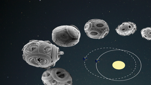 Emergence of new species of the coccolithophere (calcite producing marine algae), paced by approximately 400,000 year variations in the shape of Earth’s revolutions around the sun (eccentricity shown in inset) has been documented by the changes in the shape and size of their internal calcite plates shown here in photos obtained from scanning electron microscope. 