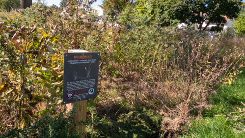 Photo of a green area of Woodbridge