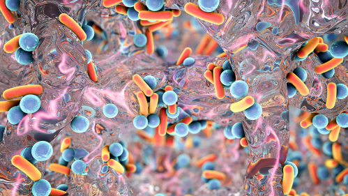 image of antibiotic resistant bacteria