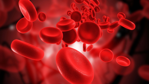 Blood Cells