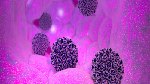 illustration of HPV virus