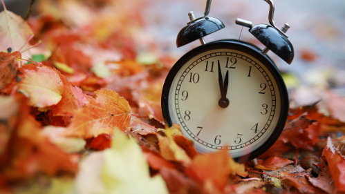 Clock on pile of leaves 