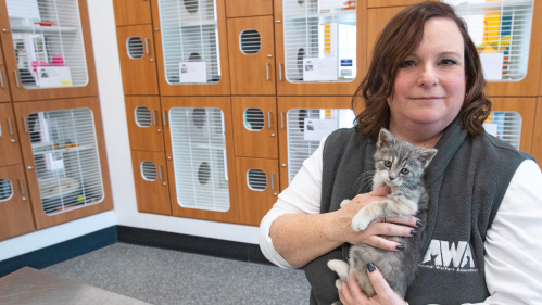 Laura Houston CCAS’90, GSC’94, holding kitten