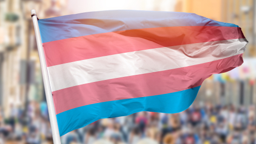 Trans Pride Flag