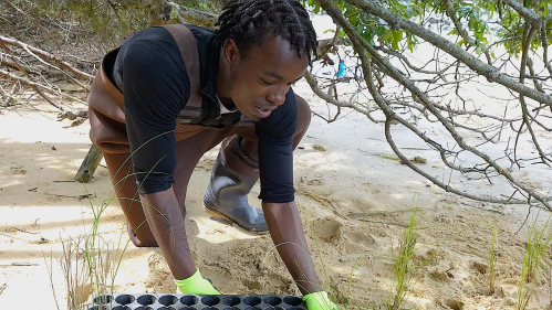 Student Builds Living Shore Line