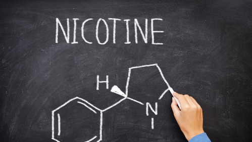 drawing of nicotine molecule on chalkboard