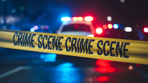 Crime Scene