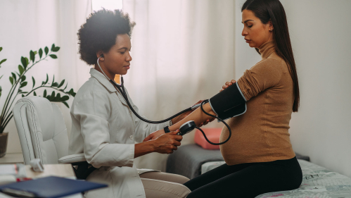 doctor examines pregnant woman