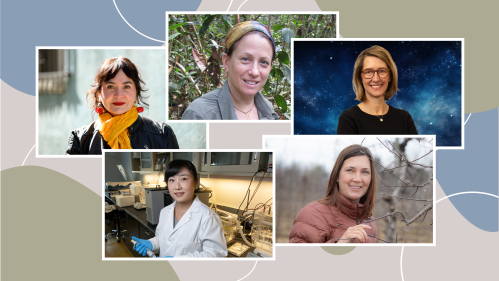 Women scientists on a multi colored background