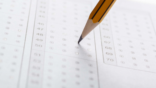 pencil filling out survey
