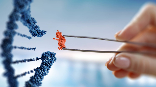 Blue helix of DNA on left; from right, a hand is holding tweezers with a piece of DNA attached.