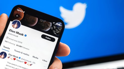 Hand holding phone with Elon Musk Twitter profile.