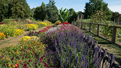 Display Gardens