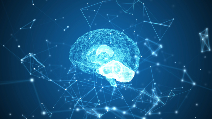 A brain and neural network
