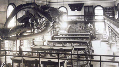 Rutgers Geology Museum historic image